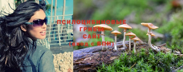 PSILOCYBIN Верхнеуральск