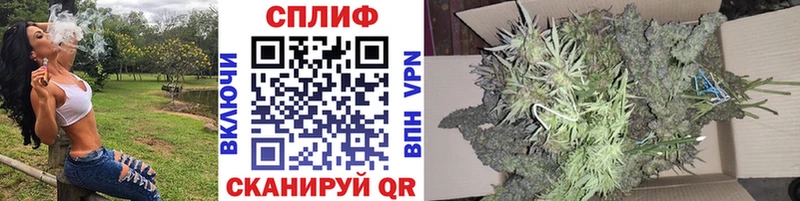 Купить где Ковдор Каннабис семена